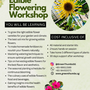 Edible Greens Workshop