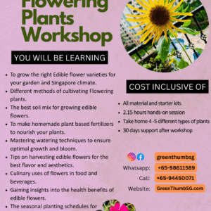 Edible Flowering Plants Workshop