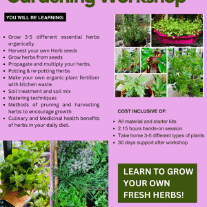 Culinary Herbs Gardening Workshop